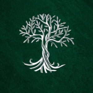 لوگو نقره حیات