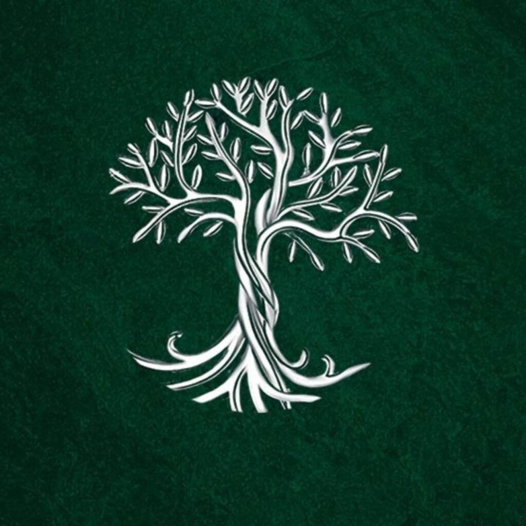 لوگو نقره حیات