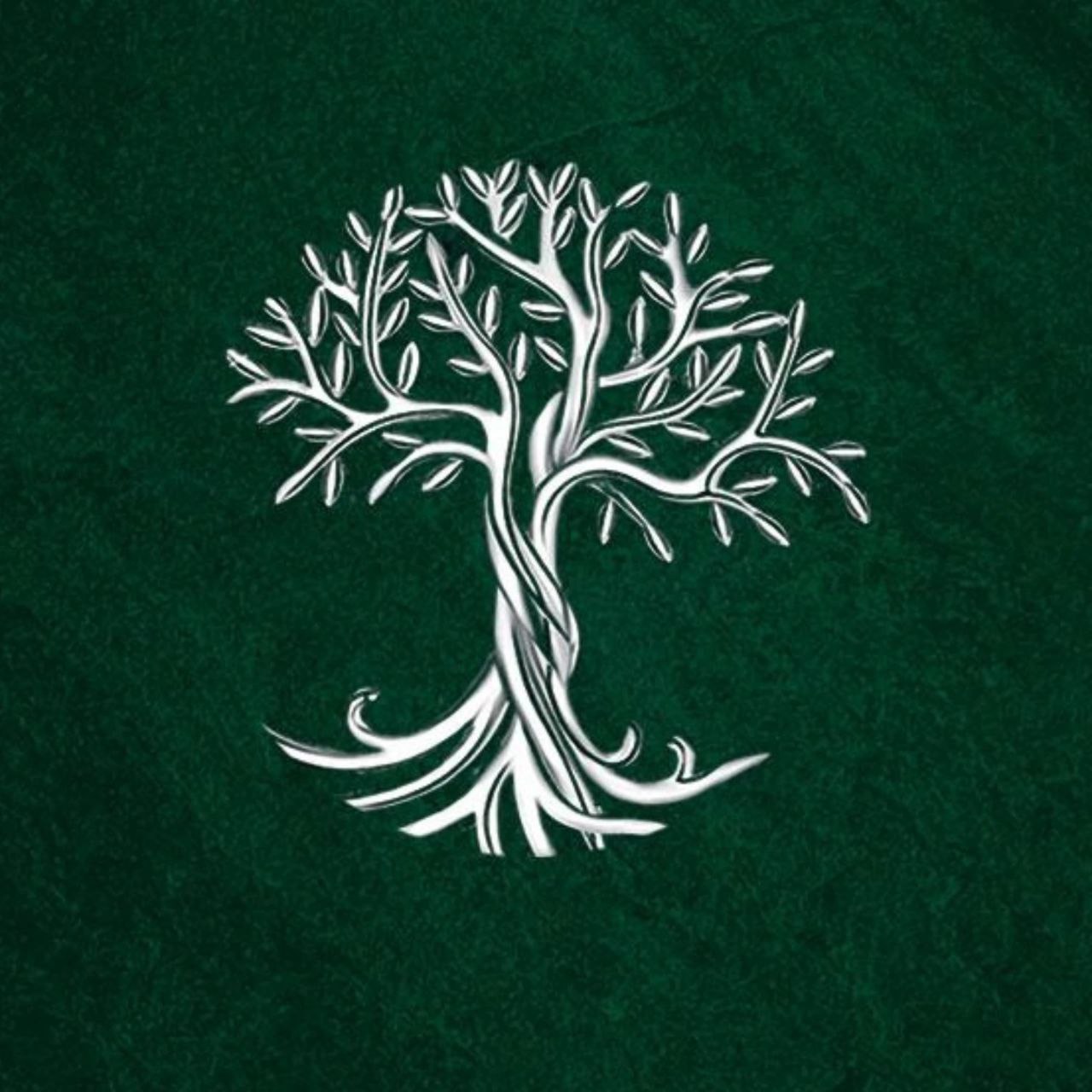 لوگو نقره حیات