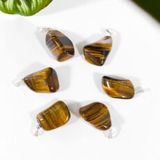 پلاک چشم ببر Tiger Eye