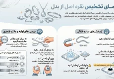 اینفوگرافیک جامع تشخیص نقره اصل از بدل شامل بررسی کدهای حک‌شده، نشانه‌های ظاهری و تست‌های ساده خانگی مثل آهنربا، یخ و پارچه سفید